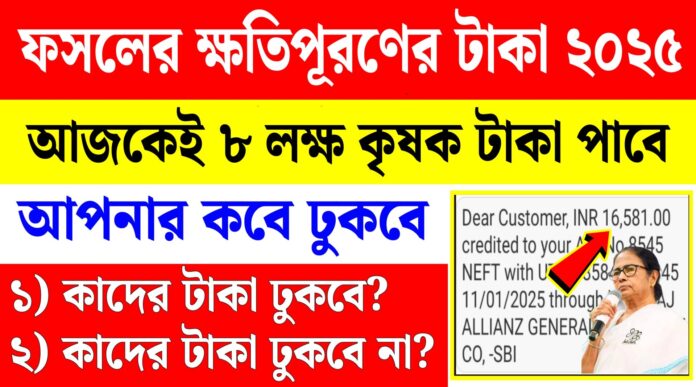 bangla shasya bima payment status