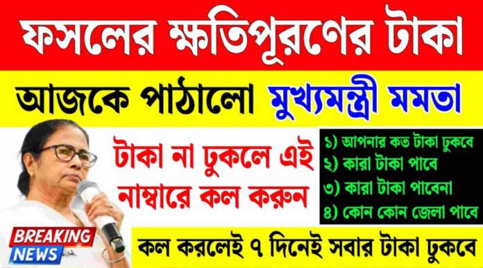 Bangla Shasya Bima Status Check